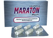 Maraton Plus